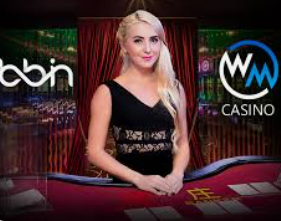 pg赚钱网站免费版